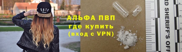 спайс Алзамай