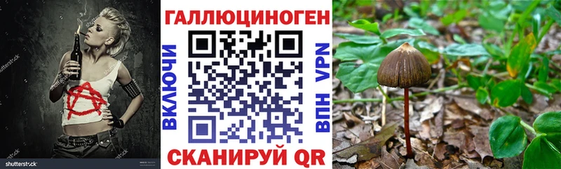 hydra ссылки Чёрмоз Галлюциногенные грибы мухоморы